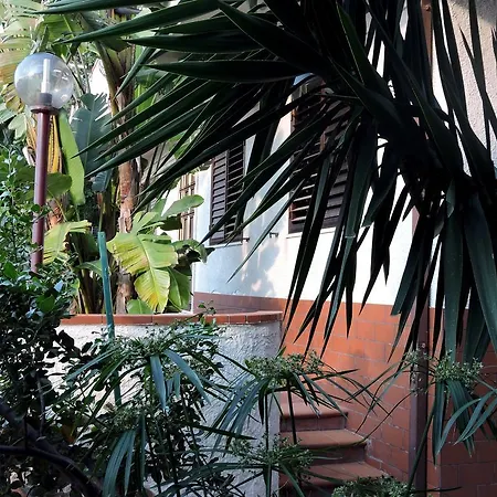 Casa Del Cedro 公寓 *